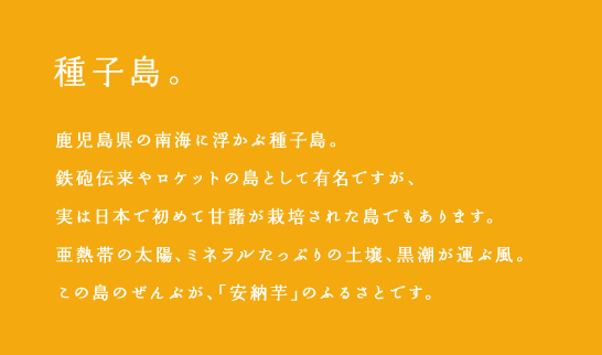 種子島。鹿児島県の南海に浮かぶ種子島。
鉄砲伝来やロケットの島として有名ですが、実は日本で初めて甘藷が栽培された島でもあります。
亜熱帯の太陽、ミネラルたっぷりの土壌、黒潮が運ぶ風。この島のぜんぶが、「安納芋」のふるさとです。