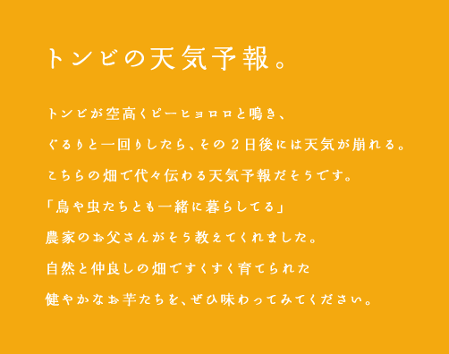 トンビの天気予報。トンビが空高くピーヒョロロと鳴き、
ぐるりと一回りしたら、その2 日後には天気が崩れる。こちらの畑で代々伝わる天気予報だそうです。
「鳥や虫たちとも一緒に暮らしてる」農家のお父さんがそう教えてくれました。
自然と仲良しの畑ですくすく育てられた健やかなお芋たちを、ぜひ味わってみてください。