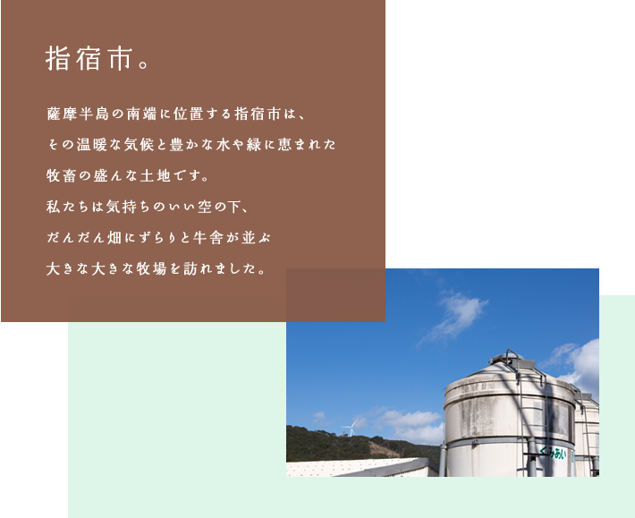 指宿市。薩摩半島の南端に位置する指宿市は、その温暖な気候と豊かな水や緑に恵まれた牧畜の盛んな土地です。私たちは気持ちのいい空の下、だんだん畑にずらりと牛舎が並ぶ大きな大きな牧場を訪れました。