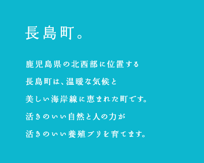 長島町。鹿児島県の北西部に位置する長島町は、温暖な気候と美しい海岸線に恵まれた町です。活きのいい自然と人の力が活きのいい養殖ブリを育てます。