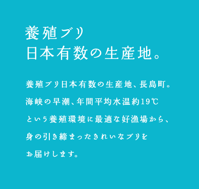 養殖ブリ 日本有数の生産地。養殖ブリ日本有数の生産地、長島町。海峡の早潮、年間平均水温約19℃という養殖環境に最適な好漁場から、身の引き締まったきれいなブリをお届けします。