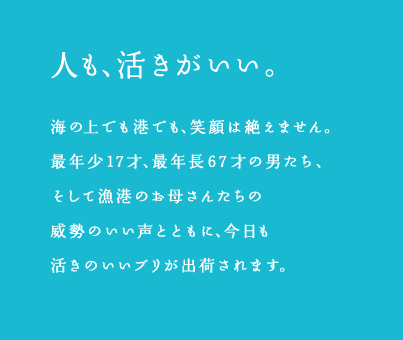 人も、活きがいい。海の上でも港でも、笑顔は絶えません。最年少17才、最年長67才の男たち、そして漁港のお母さんたちの威勢のいい声とともに、今日も活きのいいブリが出荷されます。