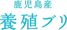 鹿児島県産　養殖ブリ