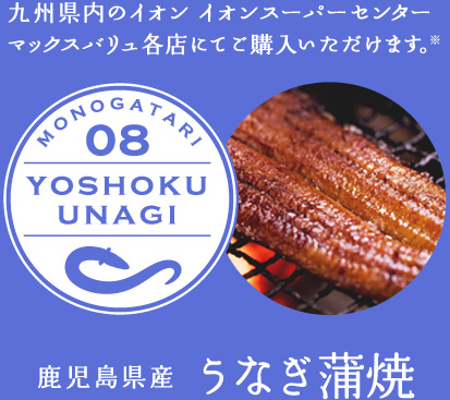 鹿児島県産　養殖うなぎ蒲焼き