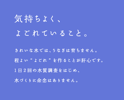 気持ちよく、よごれていること。きれいな水では、うなぎは育ちません。程よいよごれを作ることが肝心です。1日2回の水質調査をはじめ、水づくりに余念はありません。 