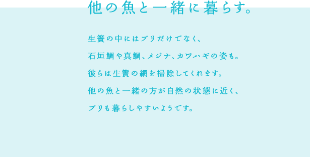 ごはんは、そのつど作ります。餌は作り置きをせず、
1日2回の給餌ごとに新鮮な餌を作ります。餌を与える時にはうなぎの食べっぷりや泳ぎ方を注意深く観察します。