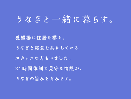 うなぎと一緒に暮らす。養鰻場に住居を構え、うなぎと寝食を共にしているスタッフの方もいました。24時間体制で見守る情熱が、うなぎの旨みを育みます。