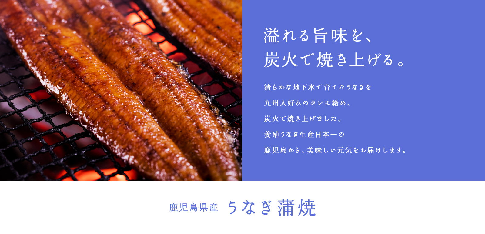 写真11
