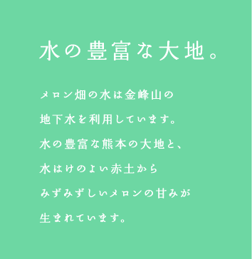 水の豊富な大地。メロン畑の水は金峰山の地下水を利用しています。水の豊富な熊本の大地と、水はけのよい赤土からみずみずしいメロンの甘みが生まれています。