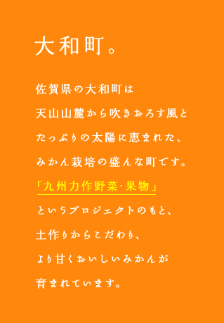 大和町。佐賀県の大和町は天山山麓から吹きおろす風とたっぷりの太陽に恵まれた、みかん栽培の盛んな町です。
「九州力作野菜・果物」というプロジェクトのもと、土作りからこだわり、より甘くおいしいみかんが育まれています。