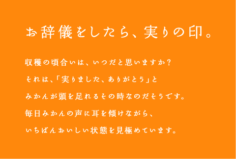 笑い声の肥料。訪れた畑では平均年齢7 8 . 5 歳の
お母さんたちが元気に働かれていました。腰に負担のかかる芋掘りも強い太陽の下で行う根の剪定もおしゃべりをしながら、なんのそのです。
お母さんたちの元気な笑い声も、栄養分のひとつかもしれません。