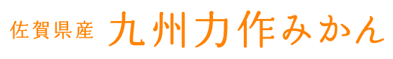 佐賀県産 九州力作みかん